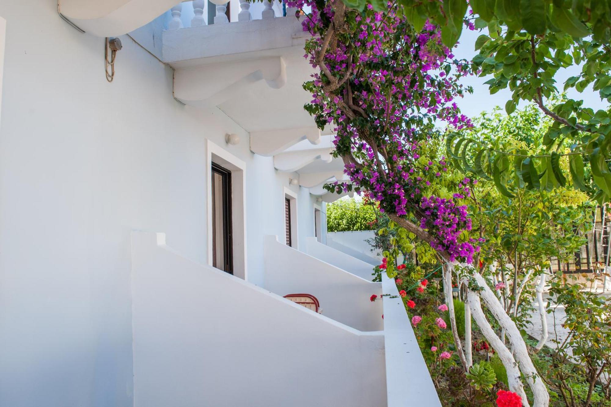 Dina Kalamaki (Zakynthos)